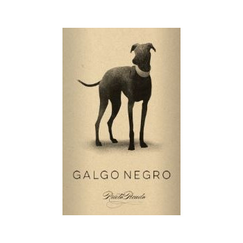 Galgo Negro