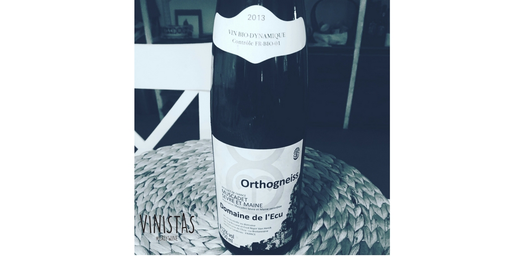 Orthogneiss Vinos del Loira ¿Qué bebemos hoy?