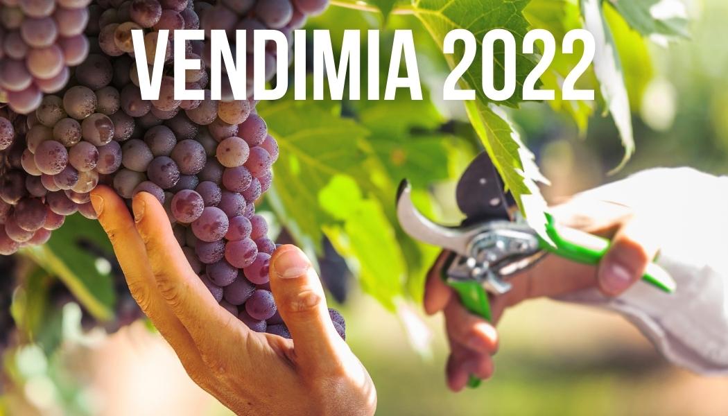 Vendimia 2022: qué nos espera este año