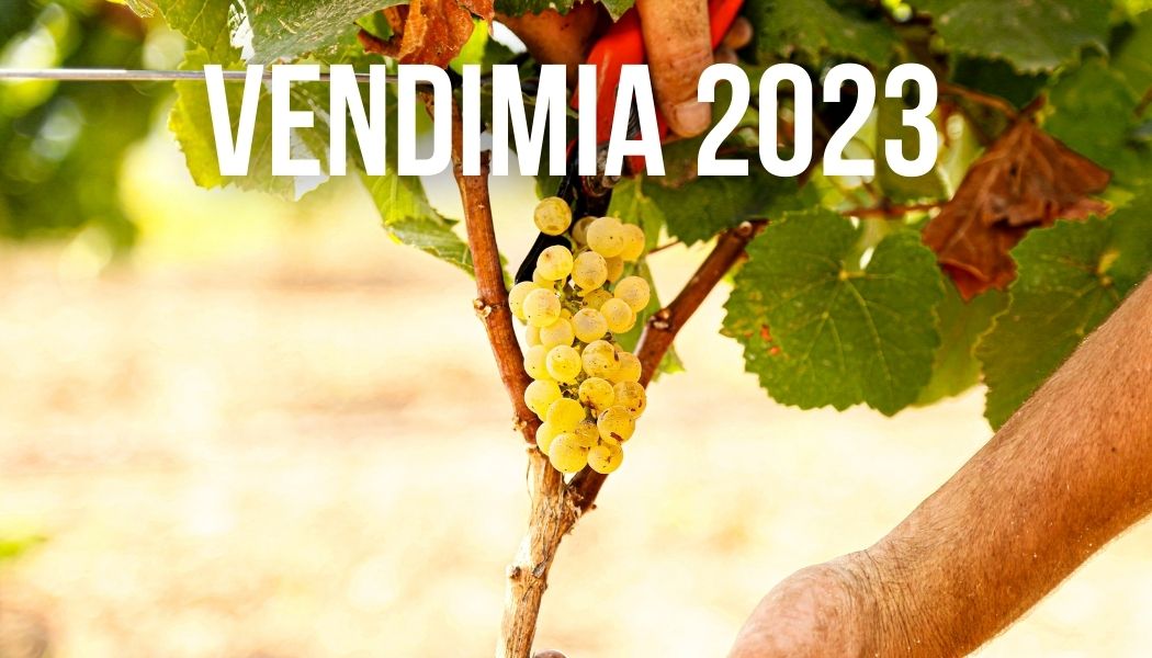 Vendimia 2023: ¡preparados, listos… ya!